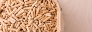 Granules de bois